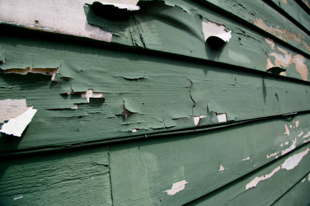 Professional Junk Removal in Elkton, MD